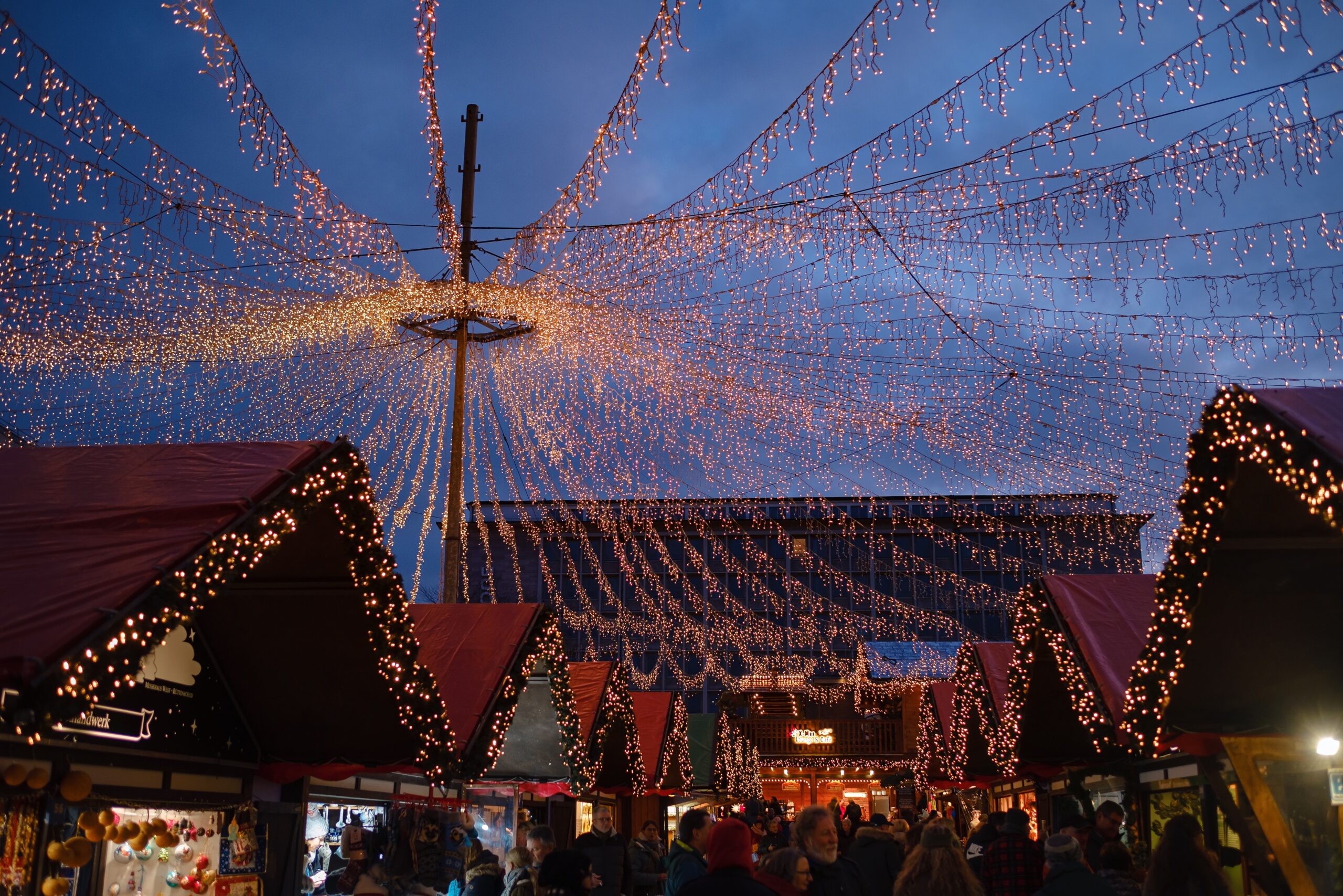 shutterstock_2241358279